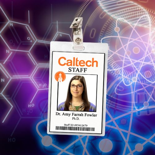 The Big Bang Theory ID Badges (7 Characters)