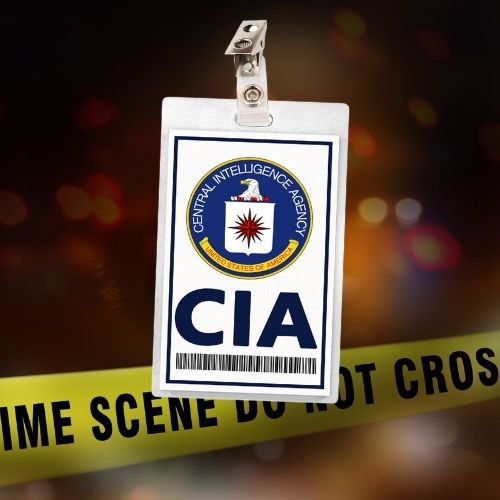 Police Cosplay Costume ID Badges (FBI, CIA, DEA, etc.)