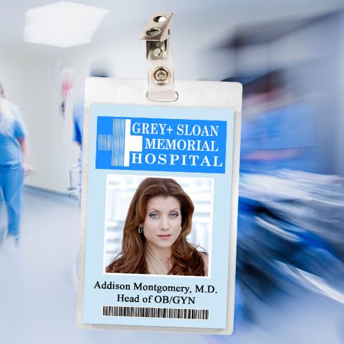Grey's Anatomy ID Badges (37 Characters)