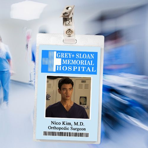 Grey's Anatomy ID Badges (37 Characters)
